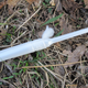 Illustration for article titled The Swiss Army Tampon: A Life-Saving Wilderness Survival Tool